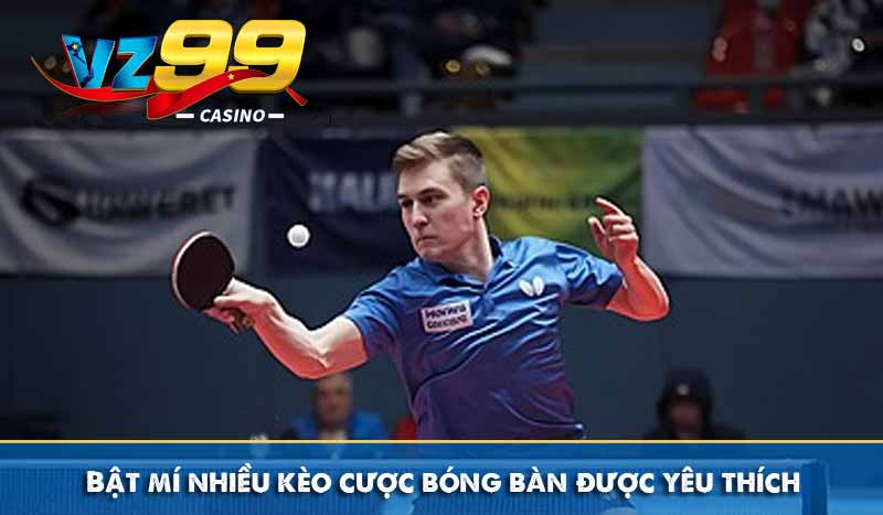 Bật mí nhiều kèo cược bóng bàn được yêu thích