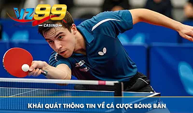 Khái quát thông tin về cá cược bóng bàn